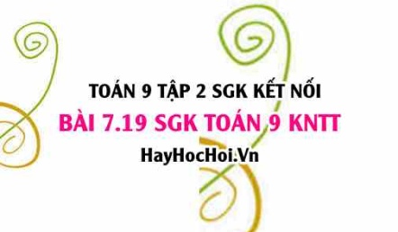 Bài 7.19 SGK Toán 9 tập 2 Kết nối tri thức